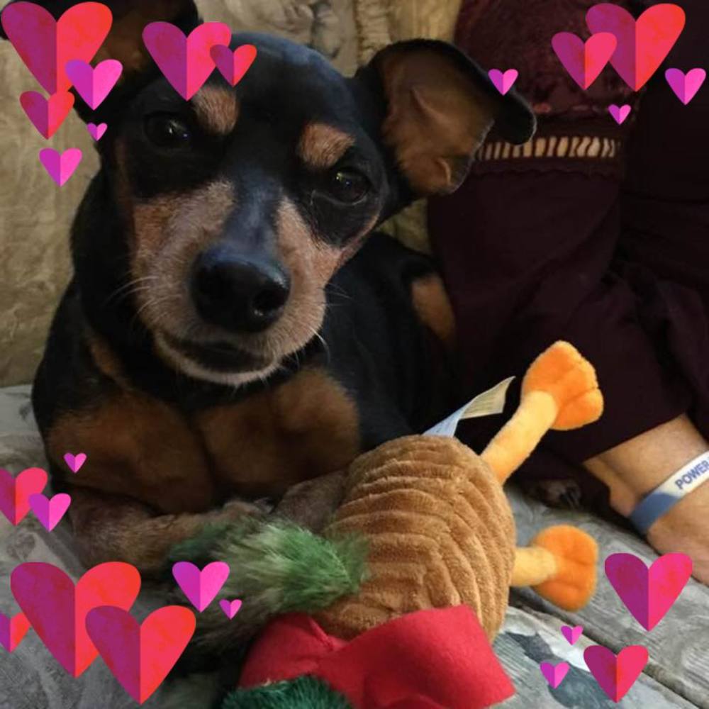 Meet your Posher, Betty